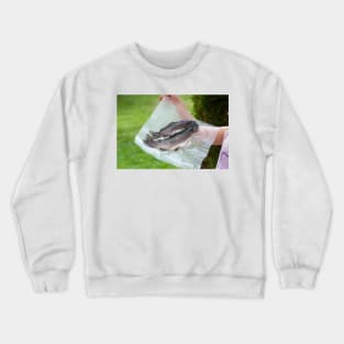 What’s For Dinner Crewneck Sweatshirt